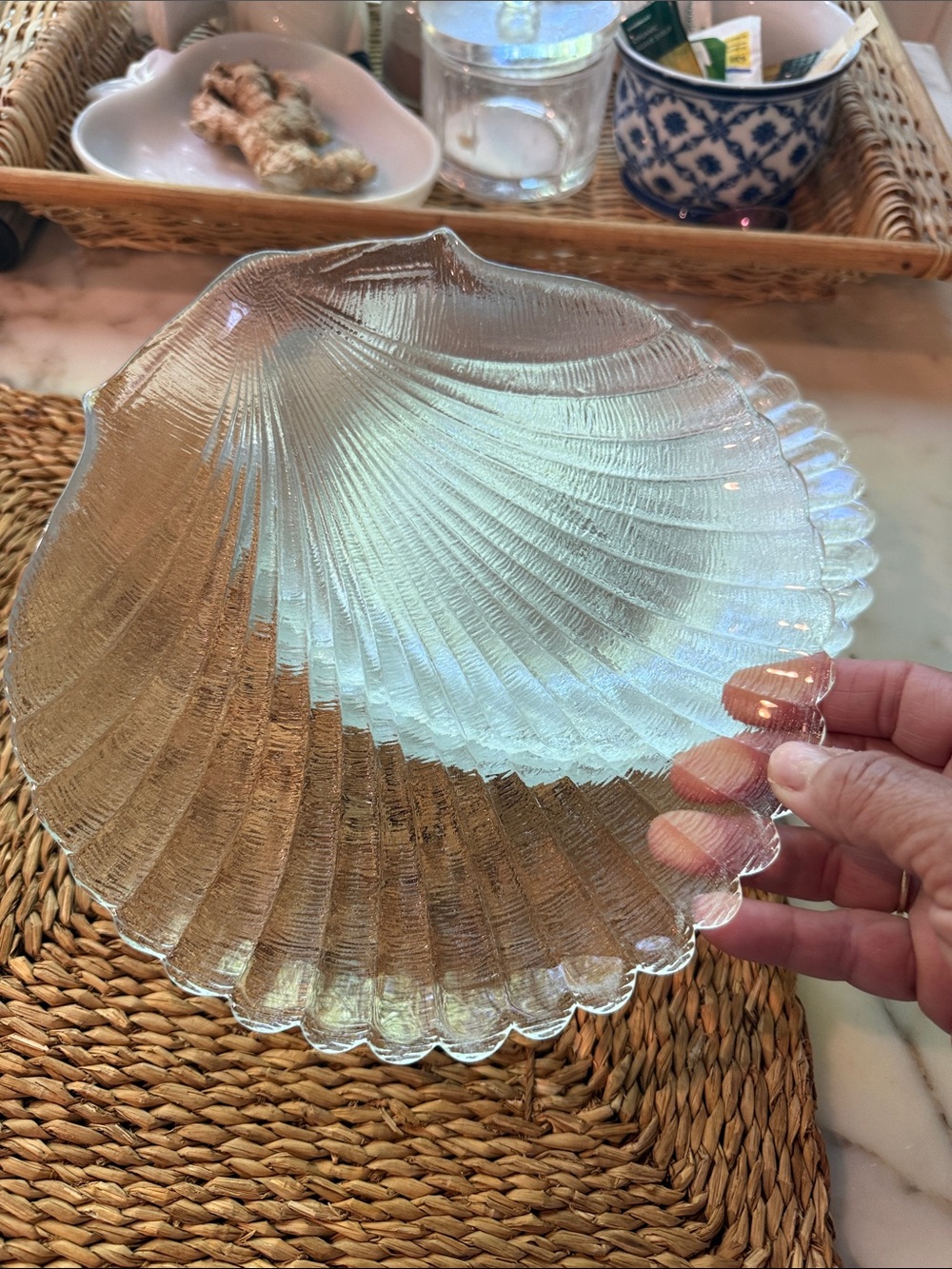 Clear Glass Shell-Shaped Dish set of 4